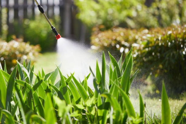 24/7 Emergency Mosquito Control experts in Menomonee Falls, WI