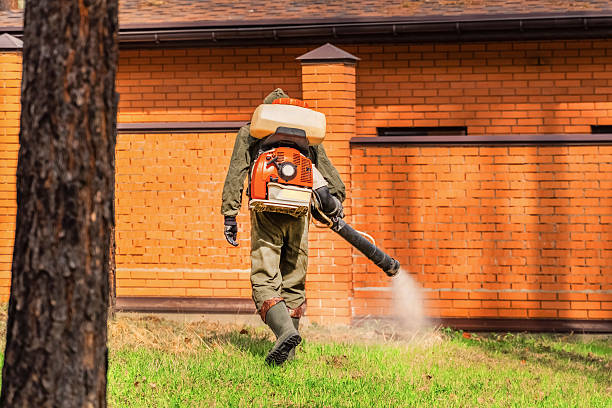 Top rated local Mosquito Control specialists in Menomonee Falls, WI